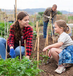 Tending their off-grid garden